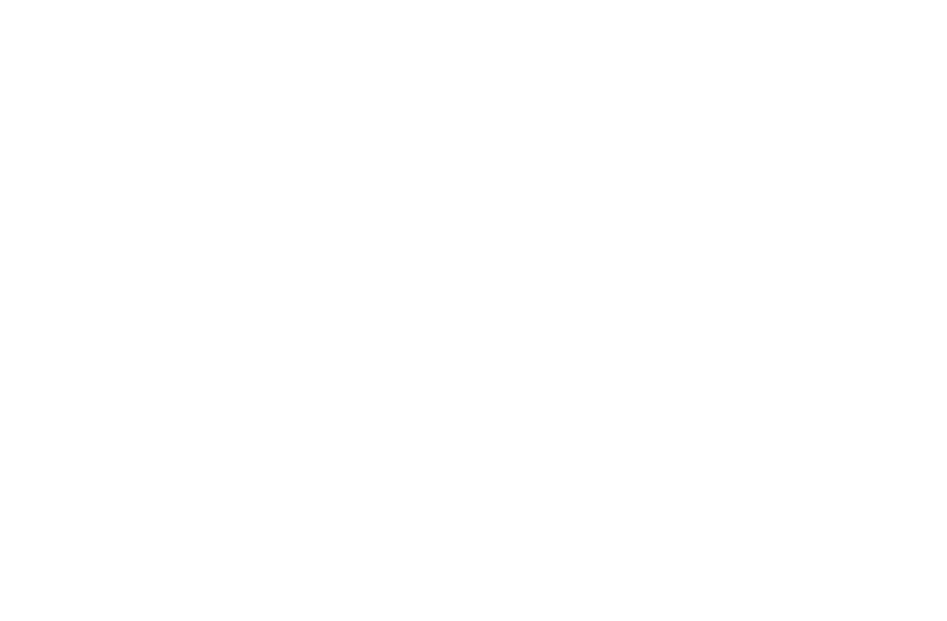 LC3Youth_PaintedLogo_TransparentBack-White